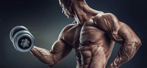 MONSTER BICEPS AND TRICEPS .